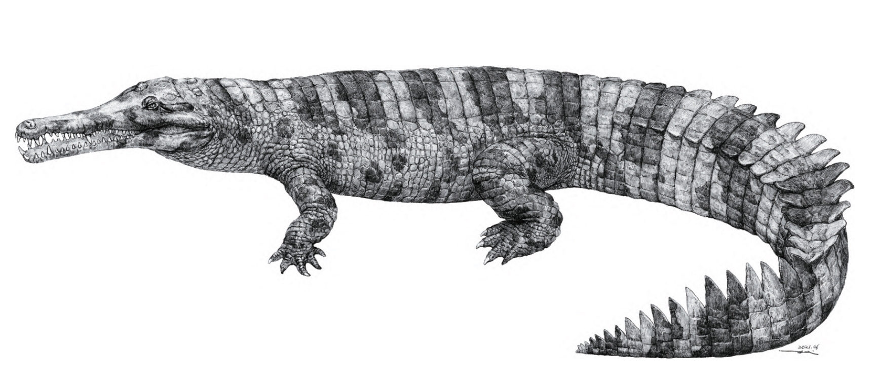 Hanyusuchus_life_reconstruction.jpg