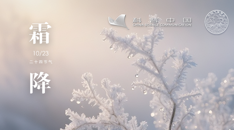 895CBB13-0416-4A87-9CFD-E7A7958C3504.png